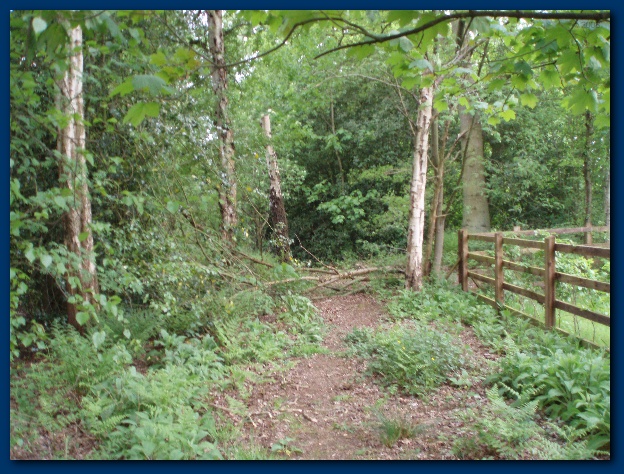 600x449 pixels (191K)